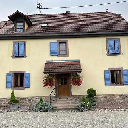 Gite La Maison De Jules Muntzenheim Exterior foto